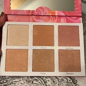 Violet Voss Pro Highlighter